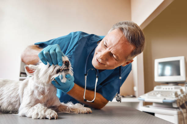 Best Emergency Denture Repair in Mexico Beach, FL